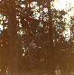 Auchegillan 76.jpg
