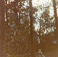 Auchengillan 76 5.jpg