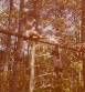 Auchengillan 77 7.jpg