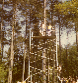 Auchengillan 77.jpg