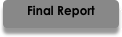 Final Report